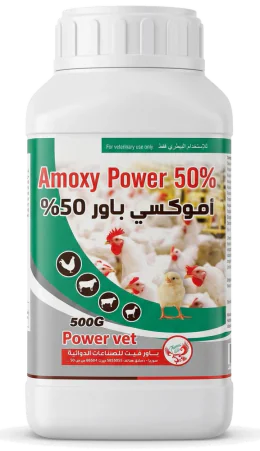 Amoxy Power 50% — Powder