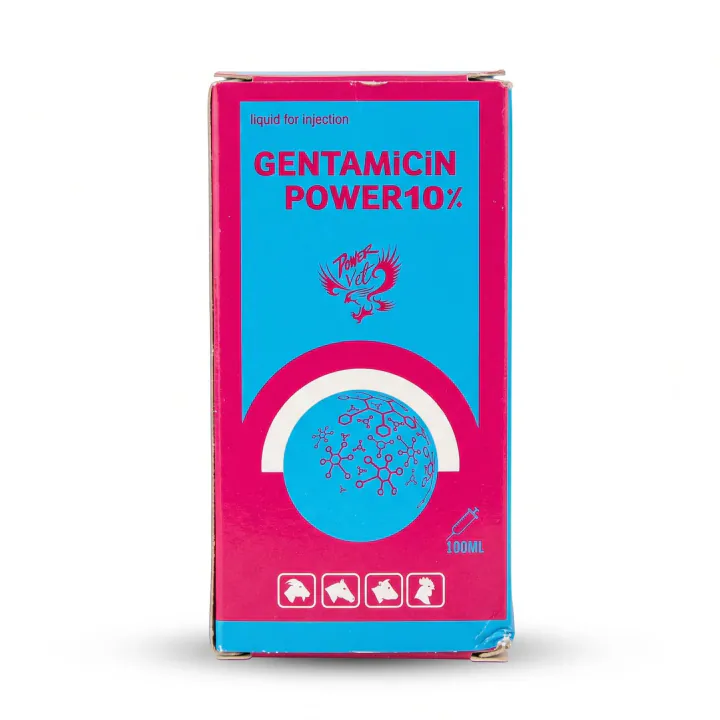 Gentamicin Power 10% — Injection, Glass bottle 100 ml