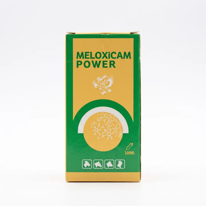 Meloxicam Power — Injection, Glass bottle 100 ml