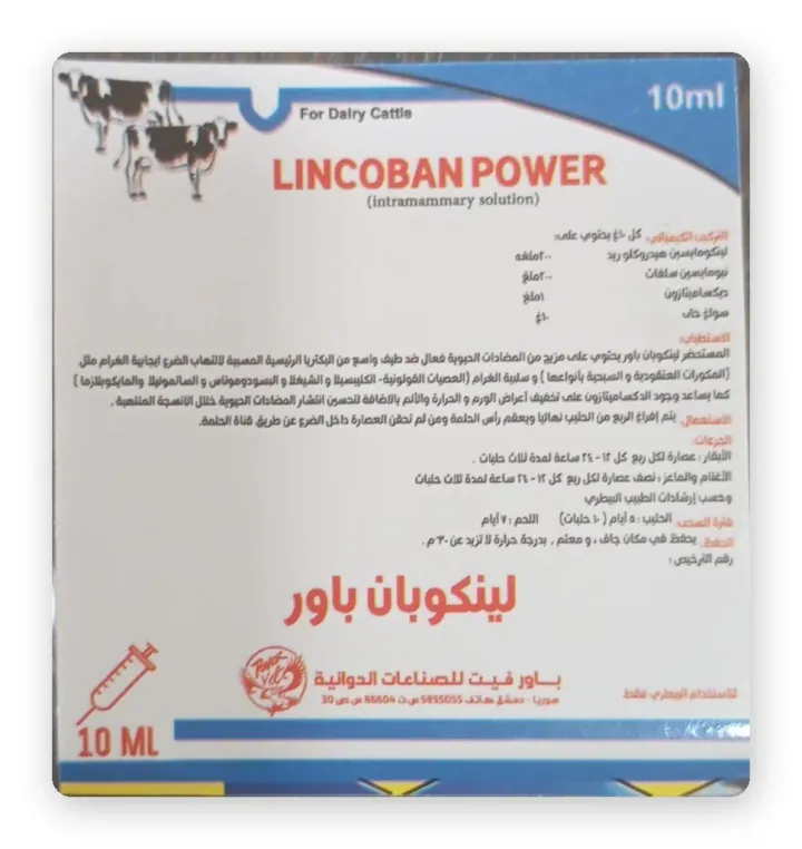 Lincoban Power — Paste / syringe / ointment, Syringe 10 g